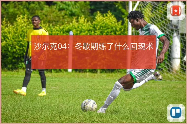 沙尔克04:冬歇期练了什么回魂术