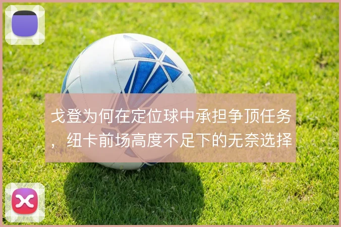 戈登为何在定位球中承担争顶任务，纽卡前场高度不足下的无奈选择